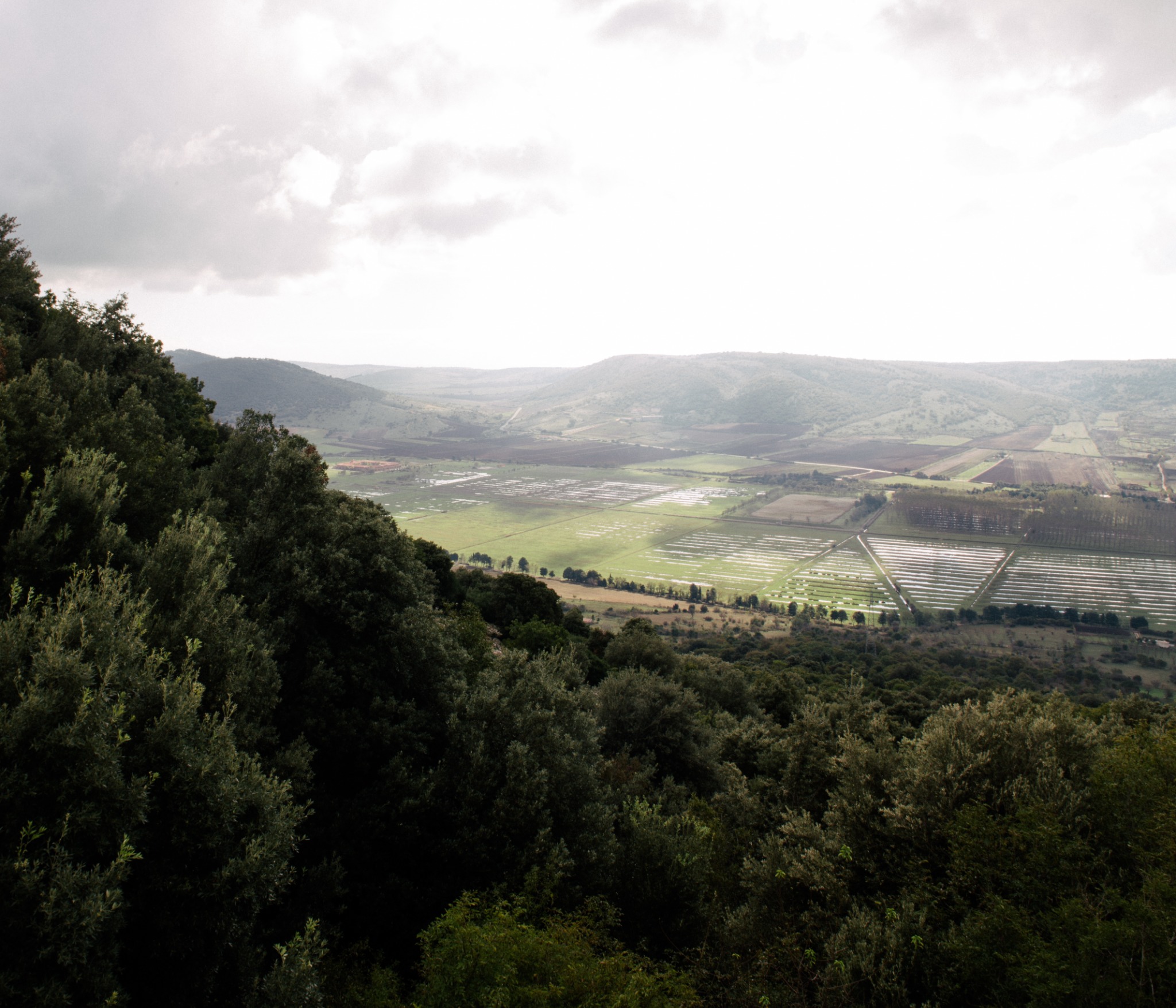 Gargano, Settembre 2014, fotografia 4