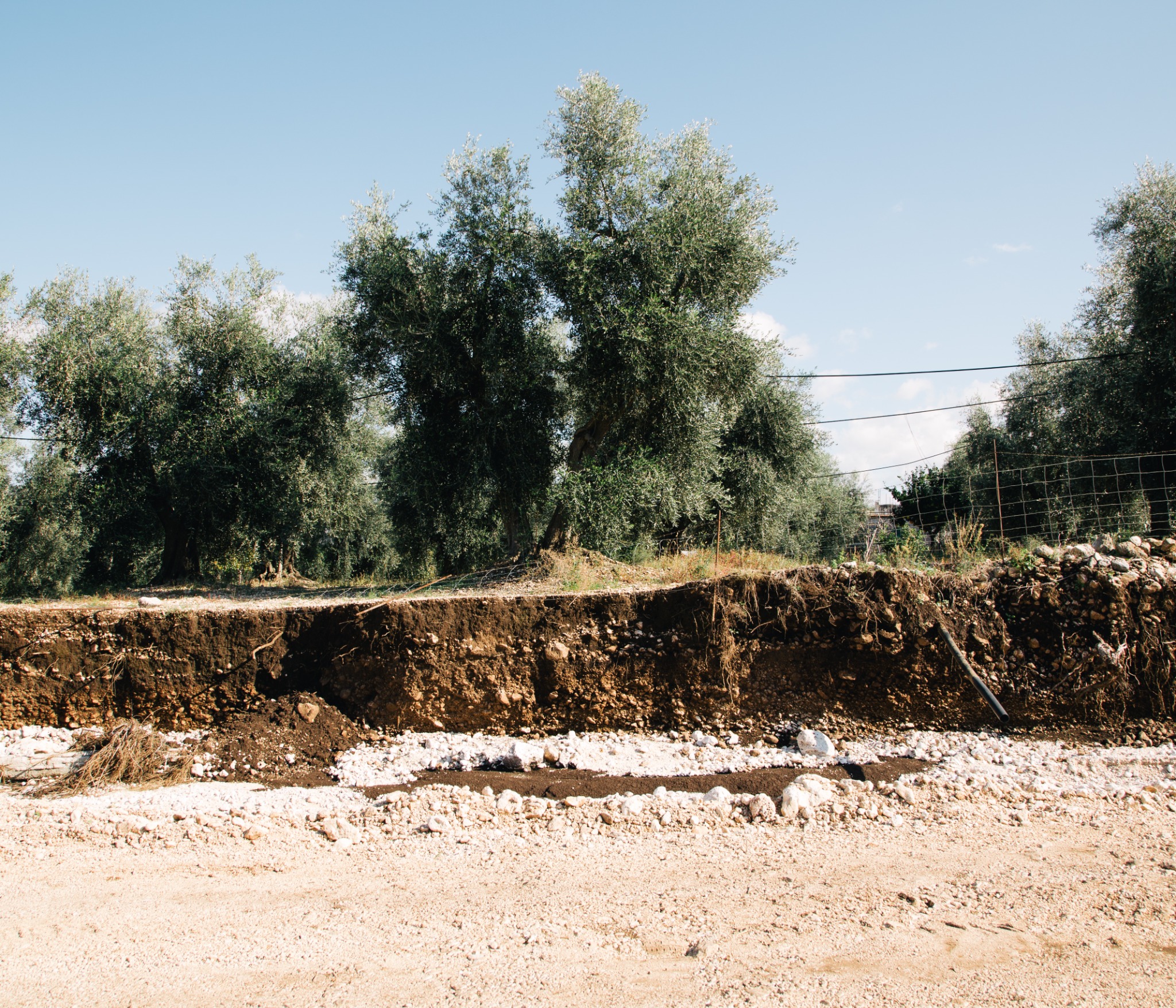 Gargano, Settembre 2014, fotografia 5