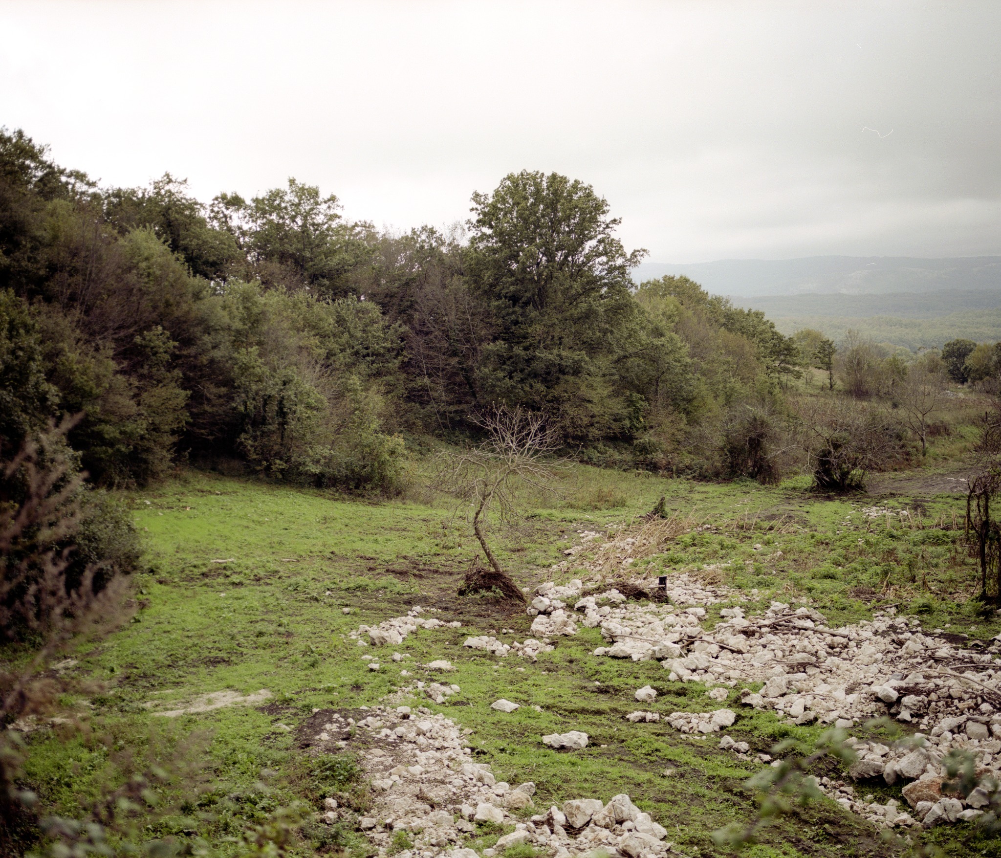 Gargano, Settembre 2014, fotografia 7