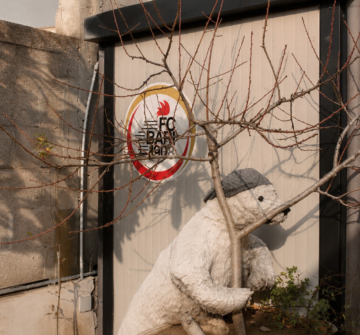 Pausa, fotografia 7
