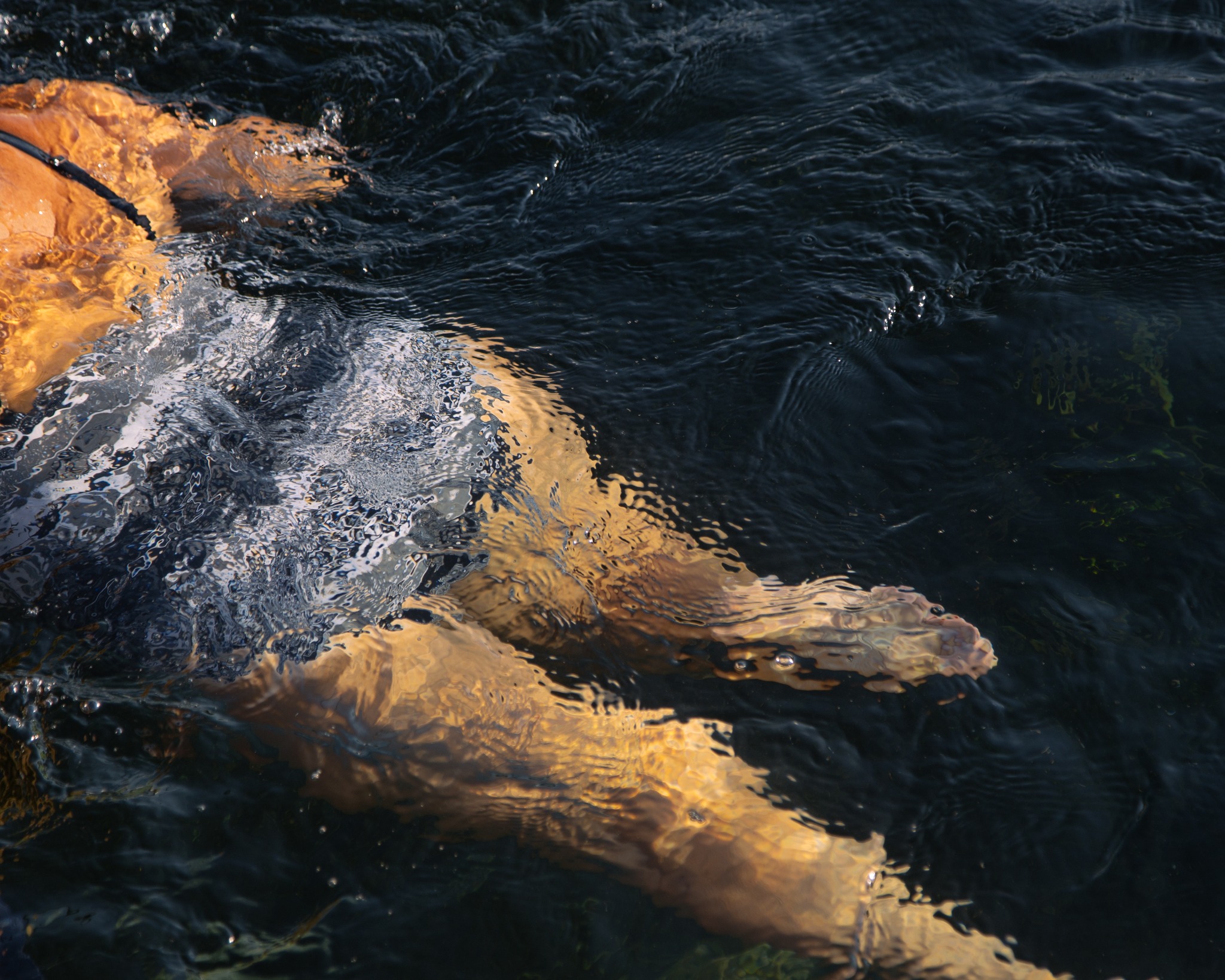 Tara, il fiume dei miracoli, fotografia 10